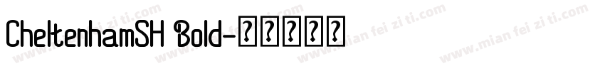 CheltenhamSH Bold字体转换